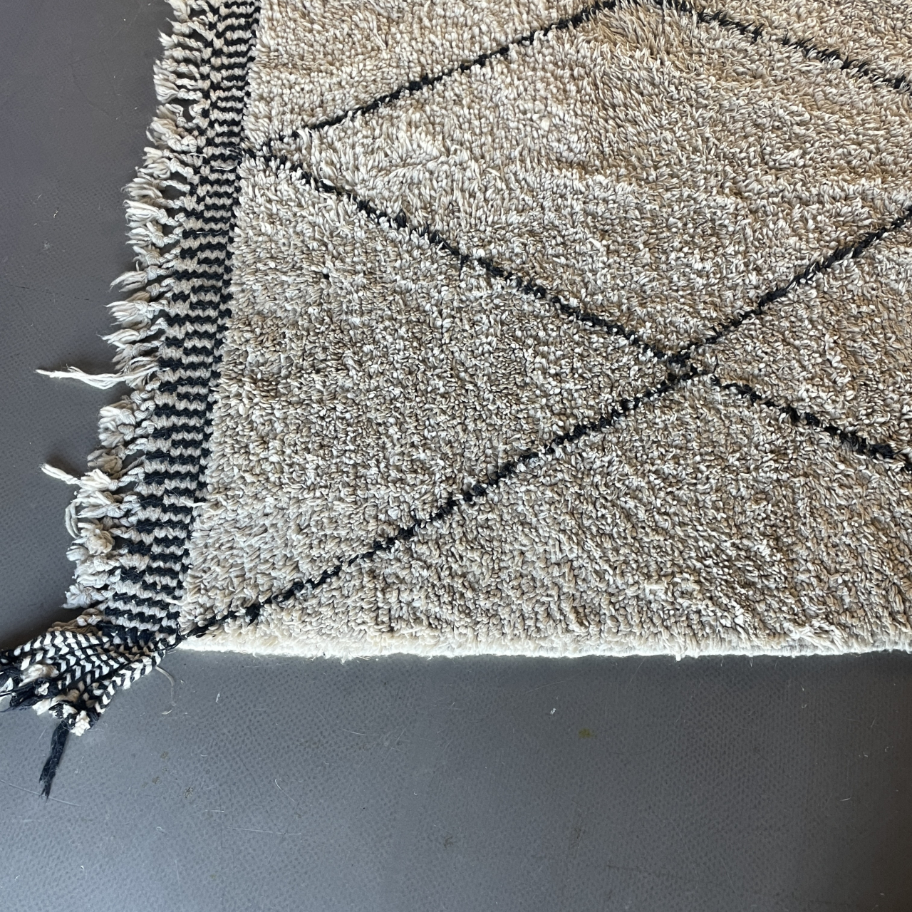 Photo 15 07 2026  16 10 43
